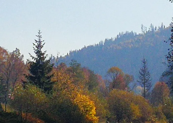 Mountain Aparthotel 3*